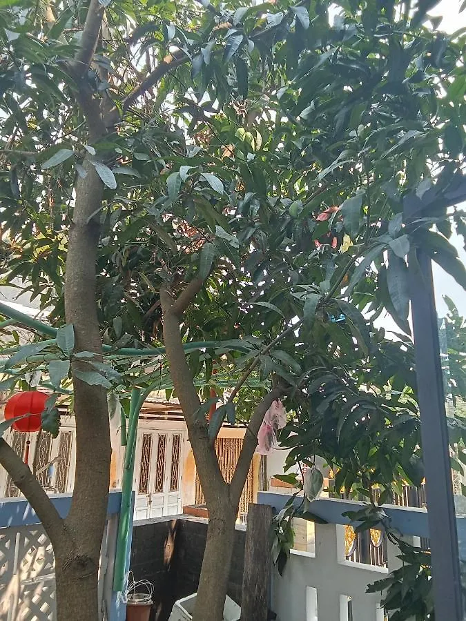 Hoi An Smart Garden Villa Alloggio in famiglia